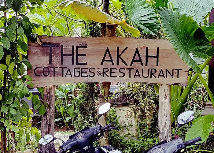 The Akah 蓝梦岛